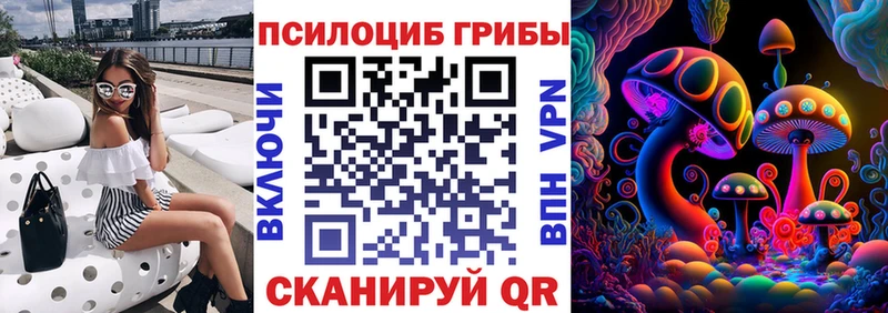 Псилоцибиновые грибы Psilocybine cubensis  Купить закладки  Костомукша 